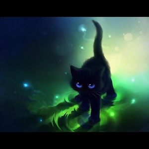 Meet your Posher, Bobbi